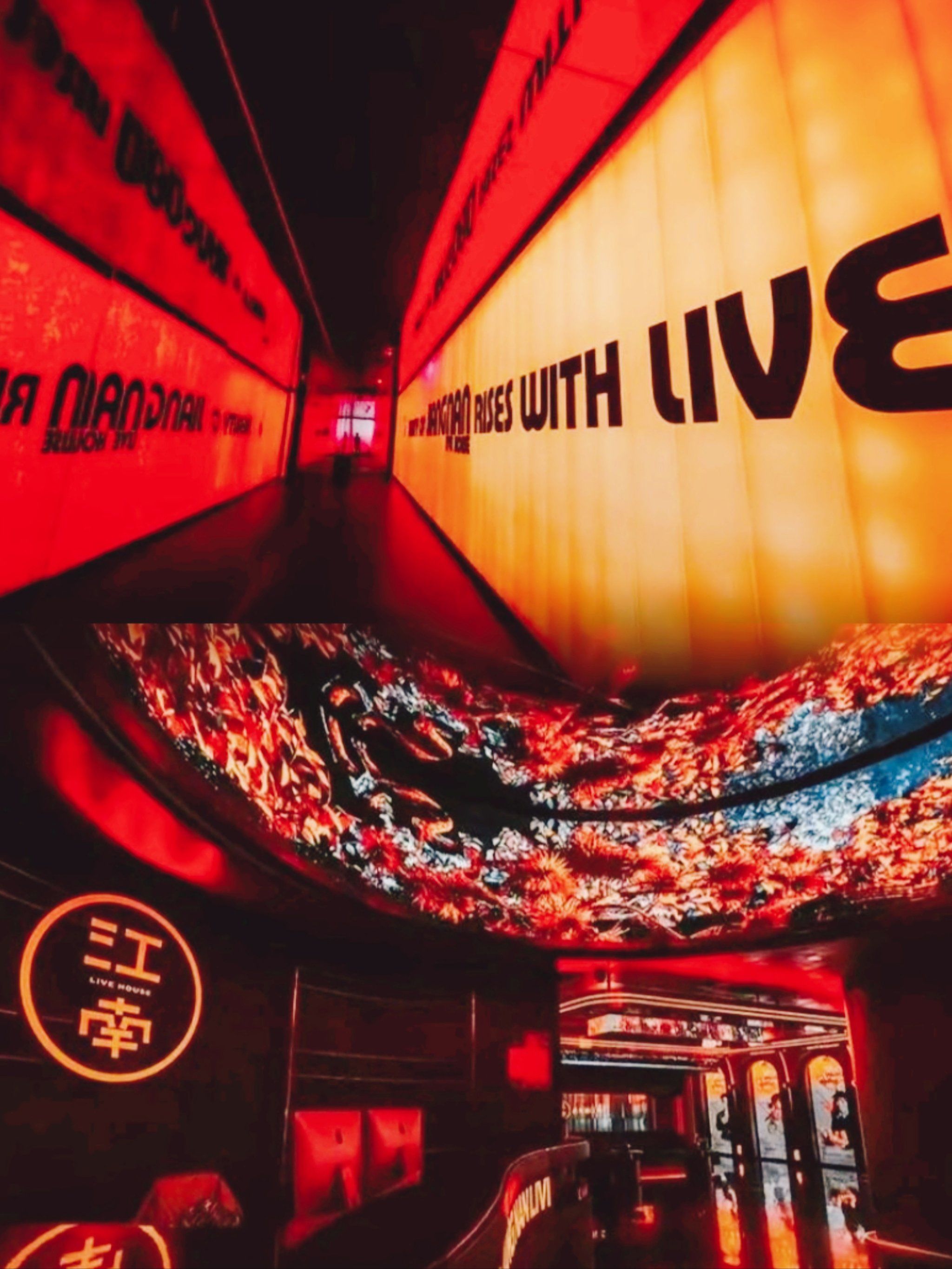 株洲商务KTV解密-天元区ktv预订